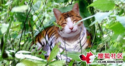 open_img('attachments/200711/7848161224.jpg')