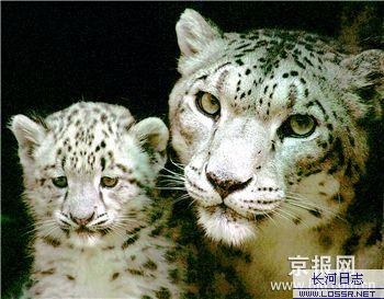 open_img('attachments/200803/5326585819.jpg')